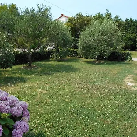 Ivanka 아파트 Palit