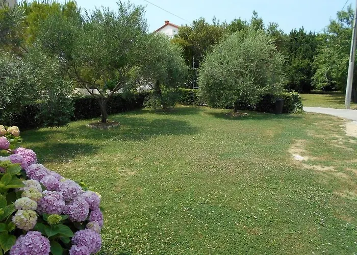 Ivanka Apartament Palit